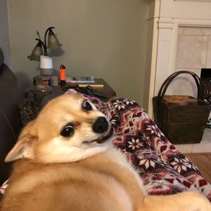 Meet your Posher, Marion